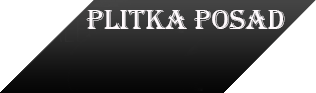Тротуарная плитка "PLITKA POSAD"